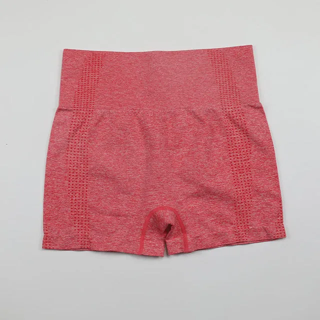 High Waist Shorts