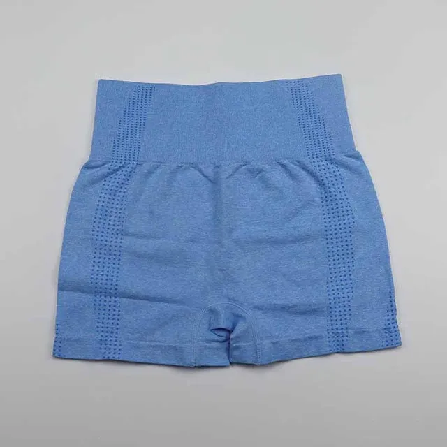 High Waist Shorts