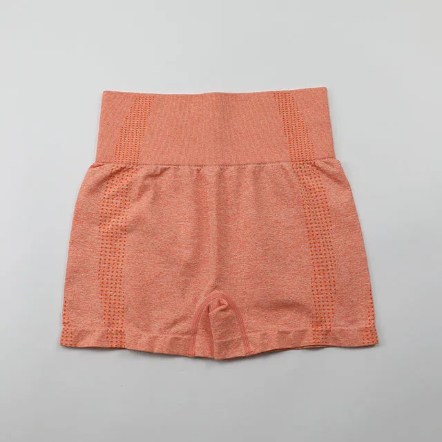 High Waist Shorts